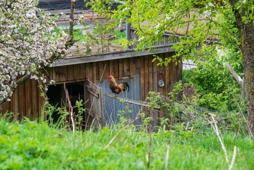 Apartamento Gut Tausendbachl