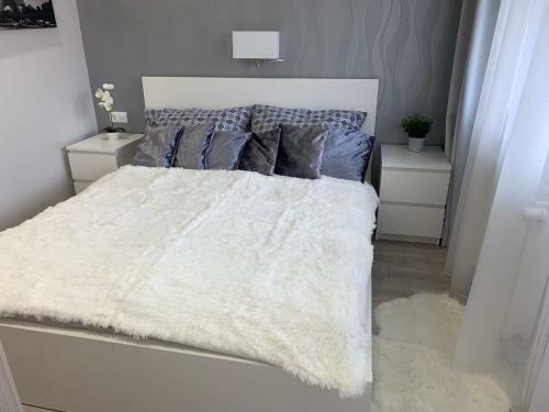 Downtown Dream Apartmans