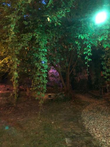 �rk�d Apartmanh�z Szeged
