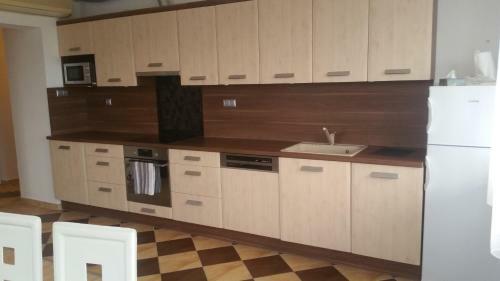 Tisza Parti Luxus Apartman