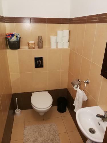 Tisza Parti Luxus Apartman