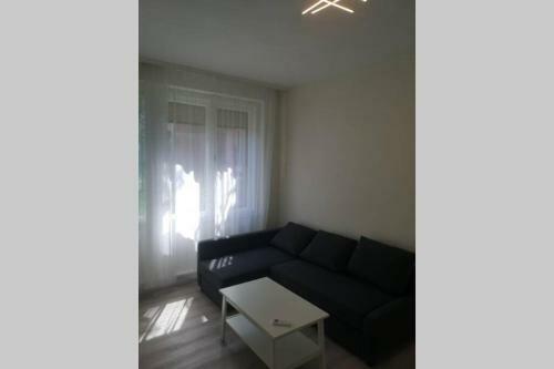Oskola Luxury Apartment