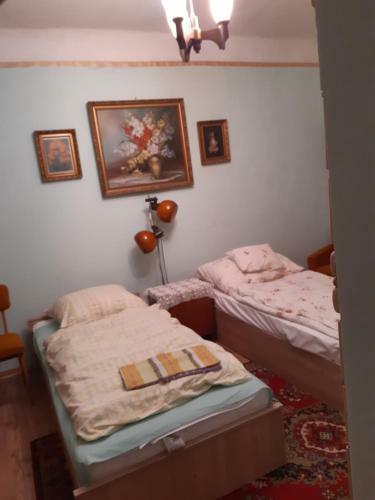 Hostal Balogh Vend�gh�z II