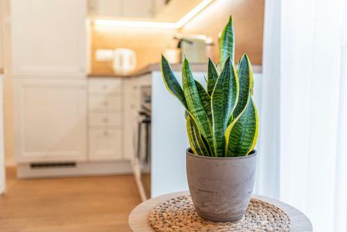 Apartamento Cosy Inner City Getaway Bestern