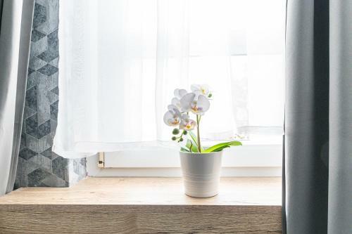 Green Holiday Apartment