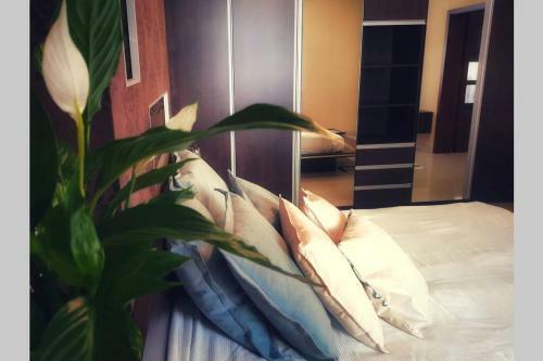 Design Apartment City Center