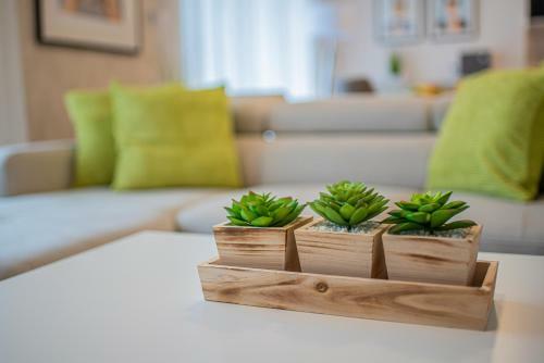 Apartamento University City Life Bestern