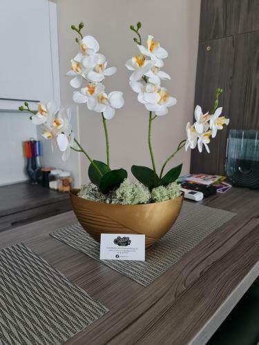 Apartamento Stationapartments