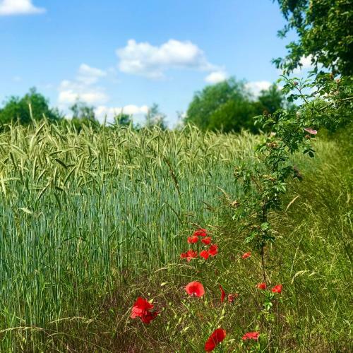 Apartamento Villa Regensburg
