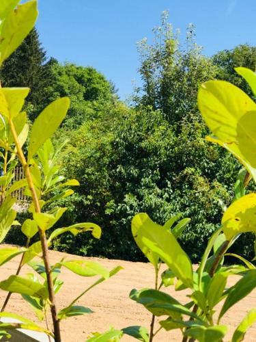 Apartamento Villa Regensburg
