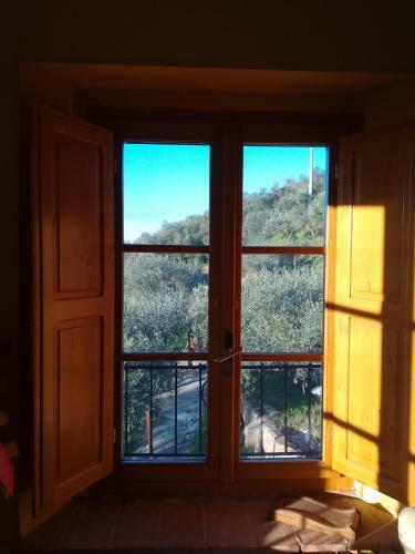 L'ulivoimperfetto