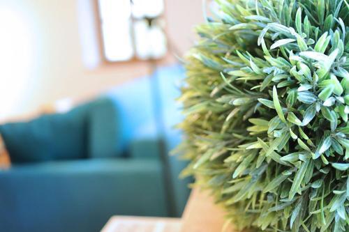 Apartamento Wassergasse 11