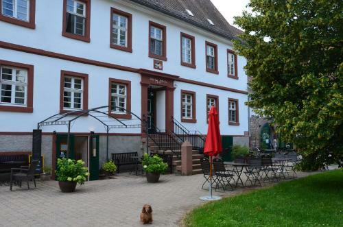 Bed & Breakfast Wersauer Hof - Ferme Auberge