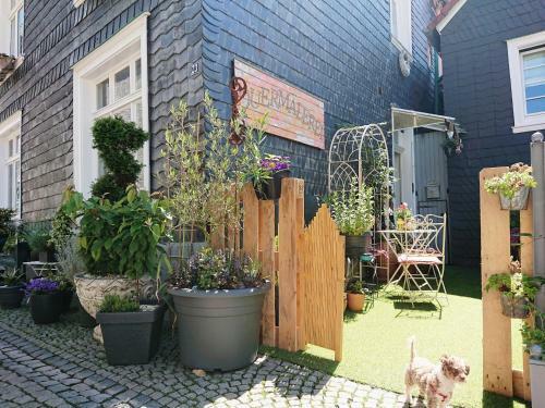 Apartamento Quermalerei