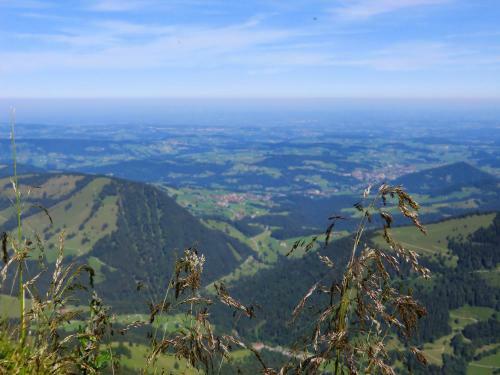 Apartamento Ferienwohnung Gr�ntenpanorama Im J�gerwinkl
