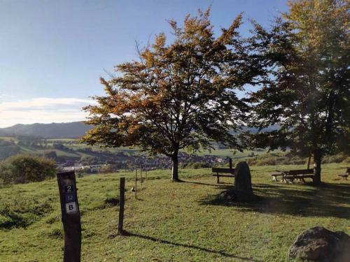Apartamento Ferienwohnung An Der Waldm�hle
