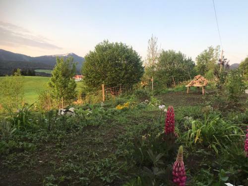 Apartamento Elchegg-chalet