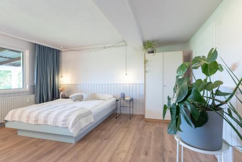 Apartamento Strandkoje Wohnung 5