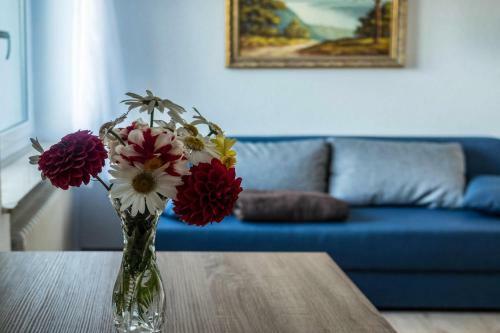 Apartamento Ferienwohnung Insel Reichenau