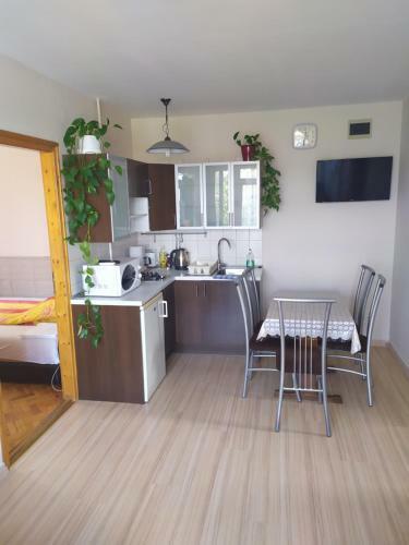 Ametiszt Wellness Apartmanh�z
