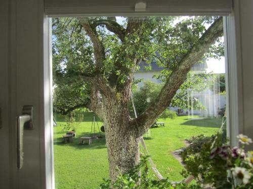 Apartment Am Apfelbaum