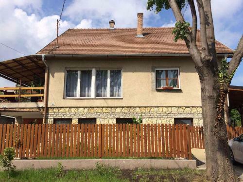 Apartments In Siofok/balaton 36443