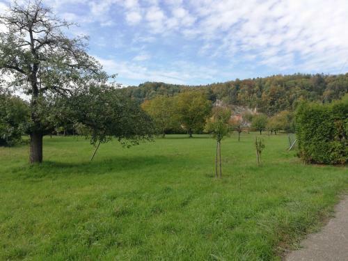 Apartamento Ferienwohnung Am Bach