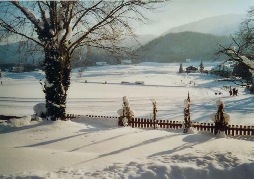 Bed & Breakfast Privatzimmer Eva Leitgeb