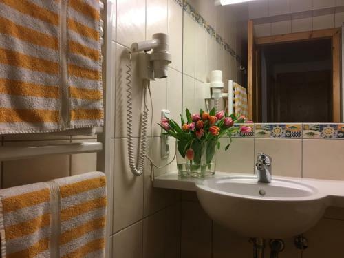 Hostal Gasthof Botenwirt
