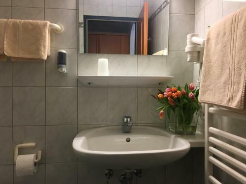 Hostal Gasthof Botenwirt