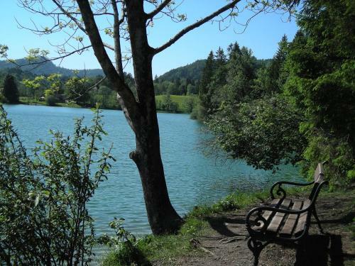 Hostal Gasthof Botenwirt
