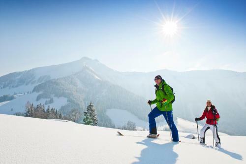 Aparthotel Pension Alpenblick