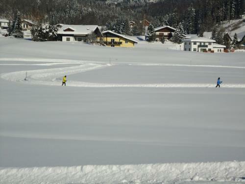 Aparthotel Pension Wald