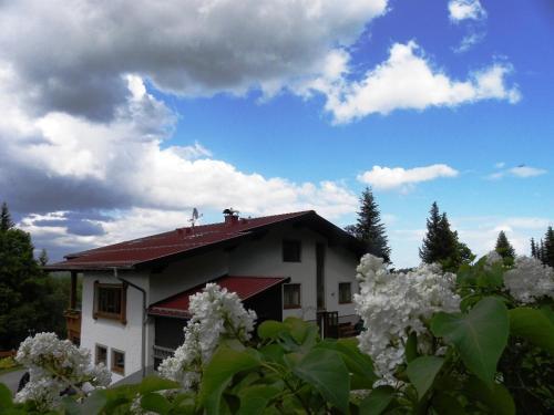 Hostal G�stehaus Apschner