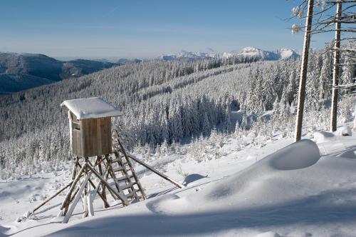Hostal G�stehaus Apschner