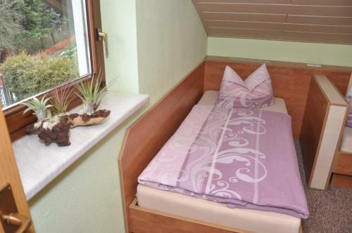 Hostal Cafe Hotel Hoyer