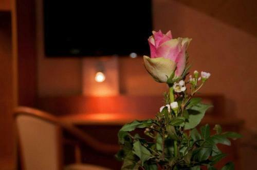 Hostal Cafe Hotel Hoyer