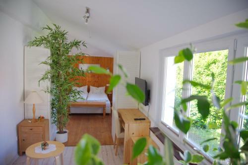 Hostal Boutique-hotel Krone