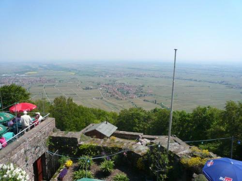 Apartamento Ph�nix Aus Der Asche