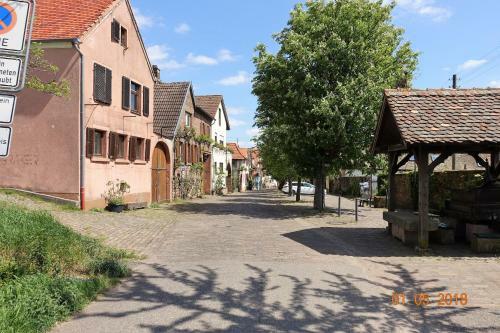 Apartamento Ph�nix Aus Der Asche