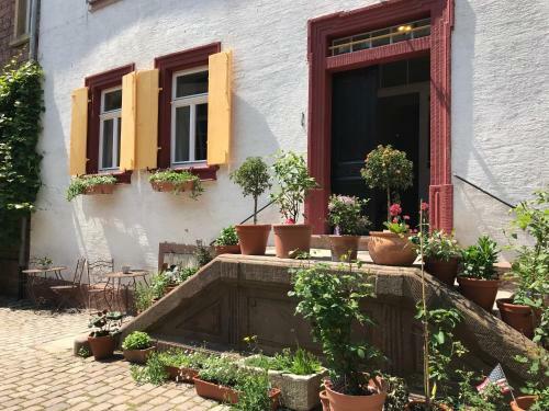 Apartamento Barocker Hof Rhodt