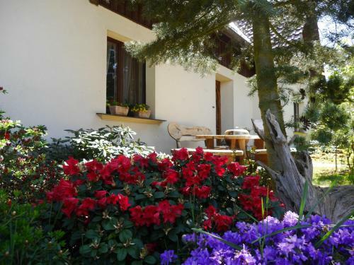 Apartamento Fewo Lutterow