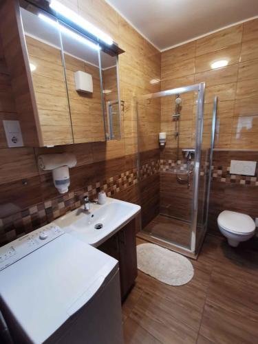 Apartments In Siofok/balaton 38420
