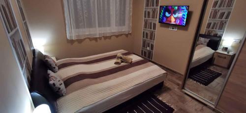 Apartments In Siofok/balaton 38420
