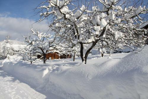 Apartamento Chalet "menkenhof"