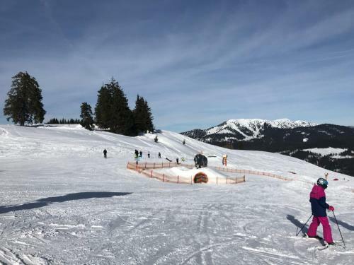 Apartamentos Appartement-unterbergblick