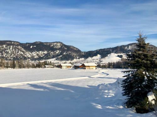 Apartamentos Panoramaresidenz Blindau