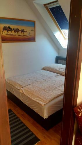 Cindy Apartman Si�fok