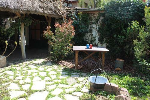 Apartamento Vicze Vend�gh�z