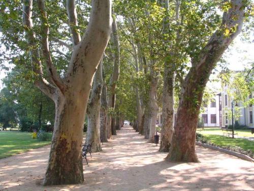 Apartment In Siofok/balaton 39540